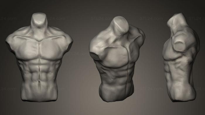Анатомия скелеты и черепа (ANTM_0056) 3D модель для ЧПУ станка